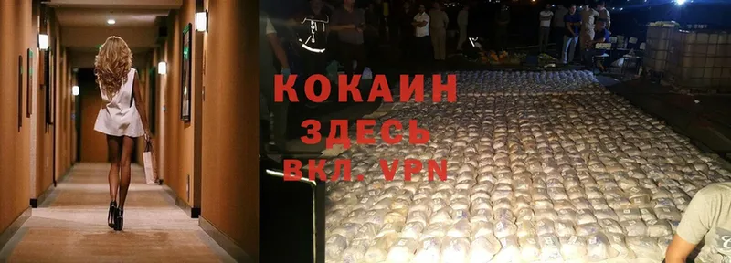 где найти   OMG как зайти  COCAIN VHQ  Новороссийск 